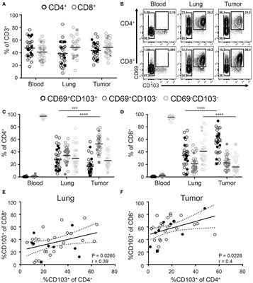 Functional Heterogeneity of CD4+ Tumor-Infiltrating Lymphocytes With a Resident Memory Phenotype in NSCLC